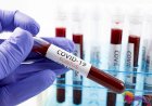 Sri Lanka detects cluster of 296 COVID-19 cases on Friday
