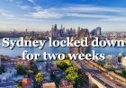 Sydney locked down for two weeks