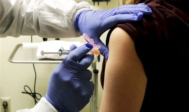 Human trials  of Coronavirus vaccine to begin in UK and Germany