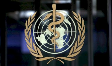 WHO says that Sri Lanka on right track to contain COVID-19 pandemic and warning to countries easing lockdown