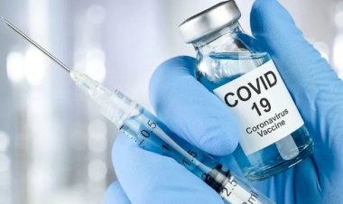 Russia all set to launch world's first COVID-19 vaccine next week  amid scientists worldwide are sounding the alarm.