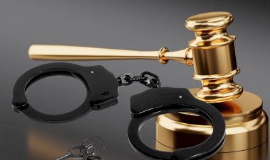 100 government MPs demand the re-arrest of Riyaj Bathiudeen