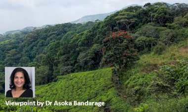 ‘Human Rights’ and Ecological Crisis in Sri Lanka