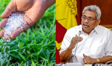 Farmers will benefit from Rs 80,000 million spent on fertilizer imports