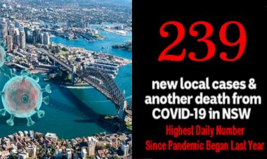 NSW records the highest daily number since pandemic began