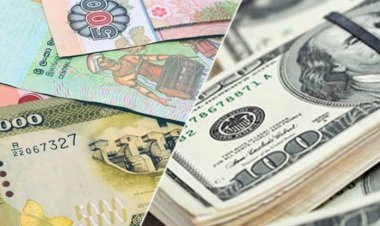 LKR top among emerging market currencies in first quarter of 2024