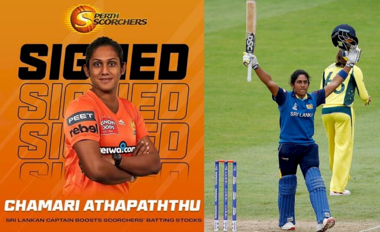 Chamari Athapaththu joins Perth Scorchers for WBBL